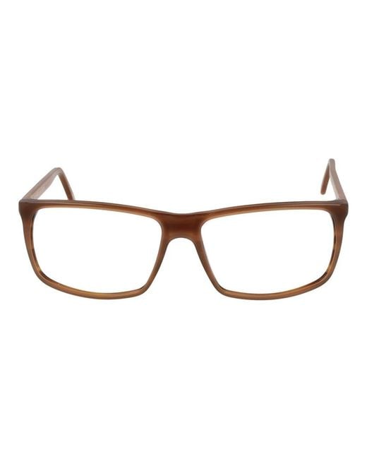 Andy Wolf Brown Glasses