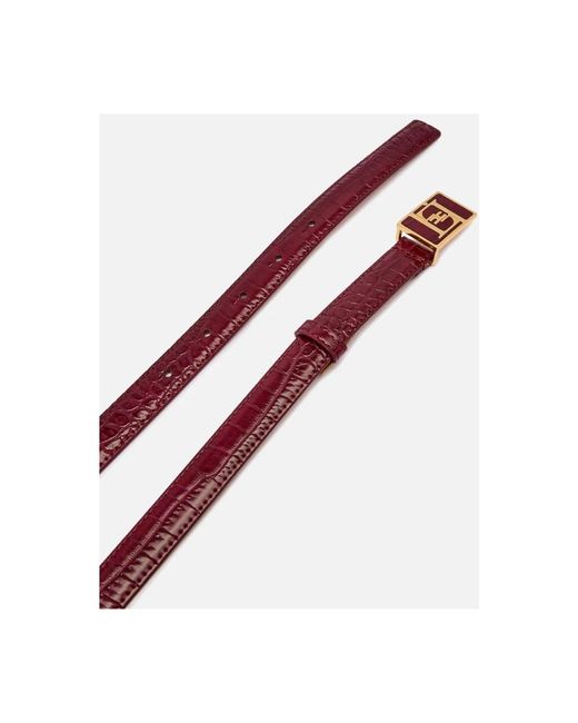 Elisabetta Franchi Brown Belts