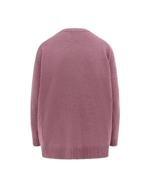 Max Mara Pink Round-Neck Knitwear