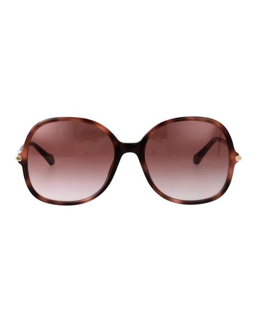 Chloé Brown Sunglasses