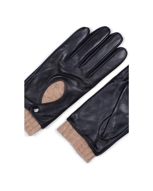 Howard London Black Gloves