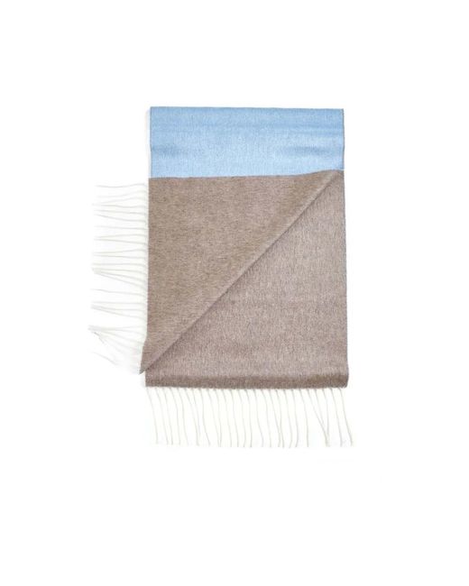 D4.0 Blue Winter Scarves for men