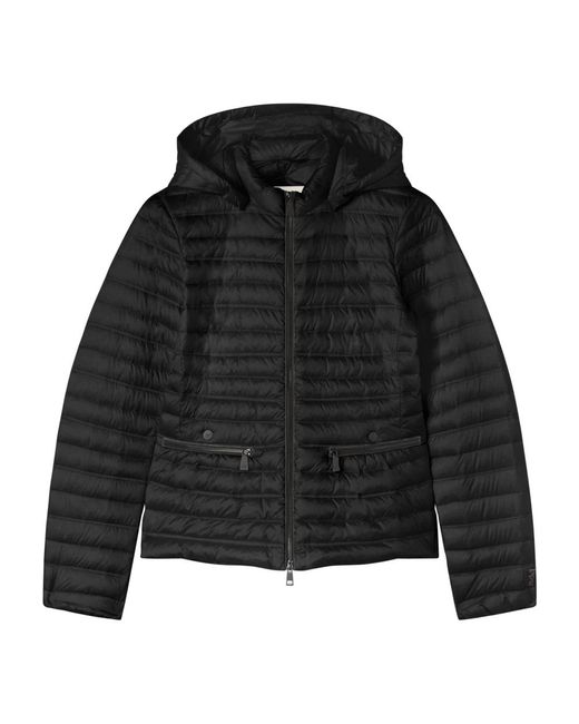 Down Jackets di Add in Black