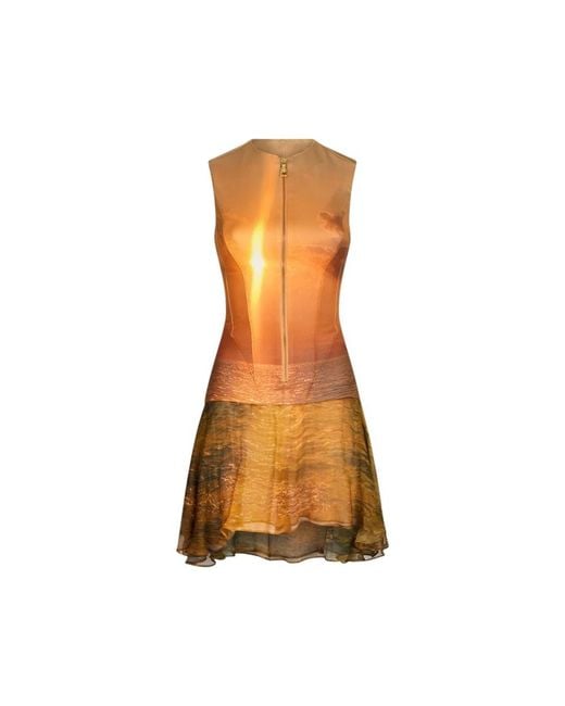 Short Dresses di Roberto Cavalli in Brown