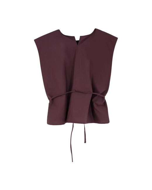 Alysi Purple Blouses