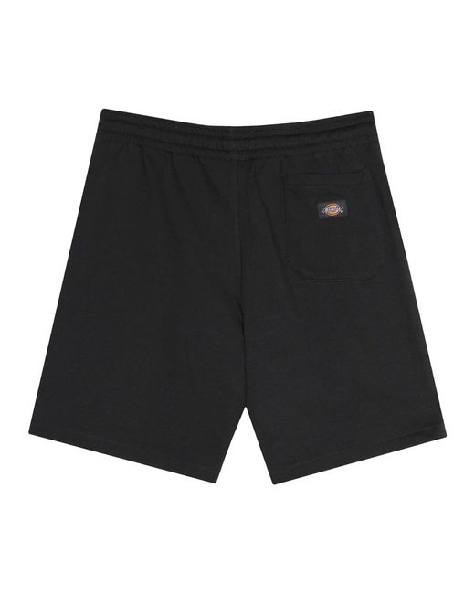 Dickies Black Casual Shorts for men