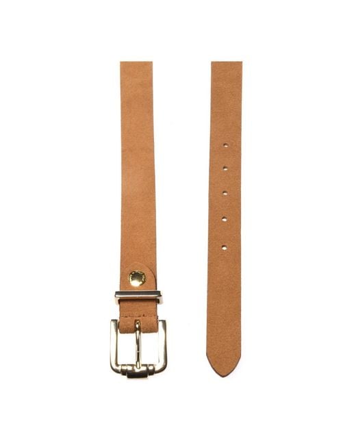 Baldinini Brown Belts