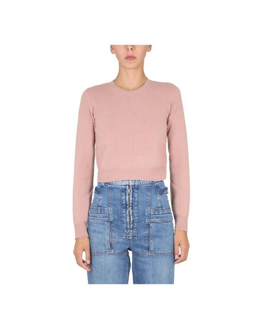 Stella McCartney Blue Round-Neck Knitwear