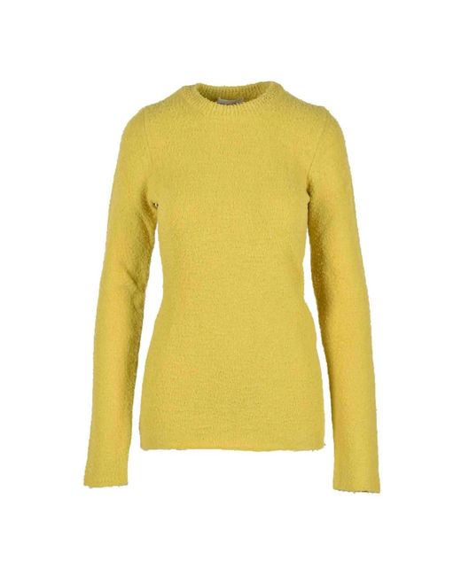 Sportmax Yellow Round-Neck Knitwear