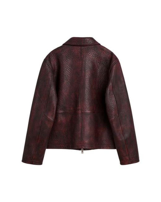 Leather Jackets sunflower de hombre de color Brown