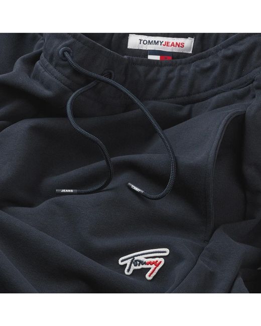 Tommy Hilfiger Blue Sweatpants for men