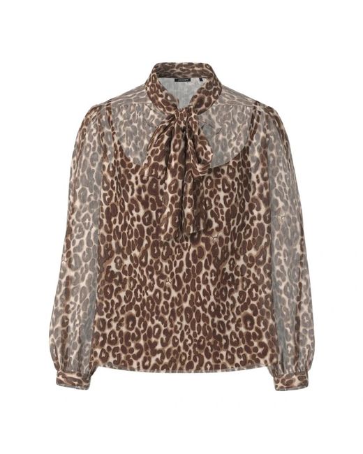 Joop! Brown Blouses