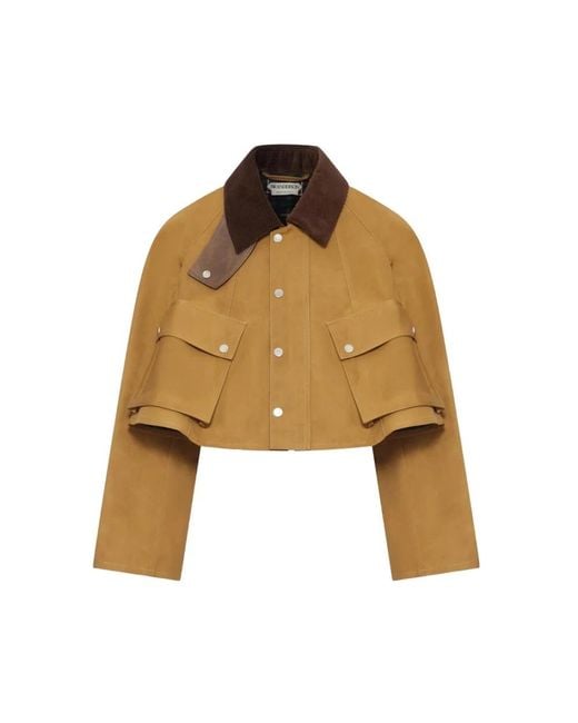 J.W. Anderson Brown Light Jackets