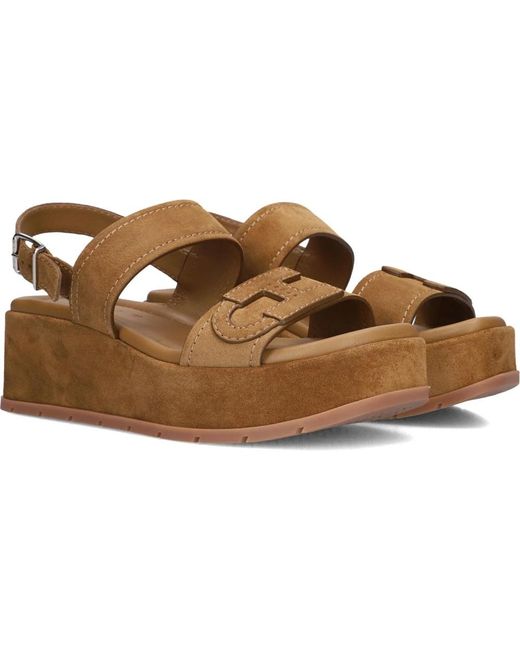 Hogan Brown Wedges