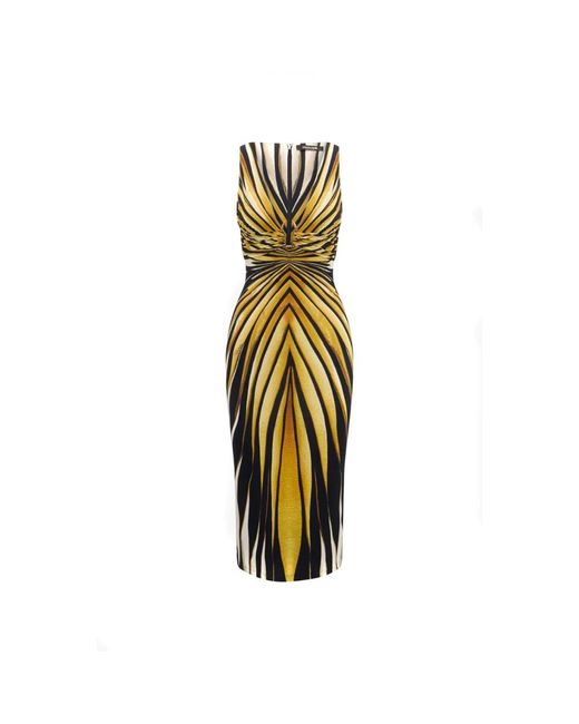 Roberto Cavalli Kleedjes ,Veelkleurig Gestreept Midi Jurk in het Metallic