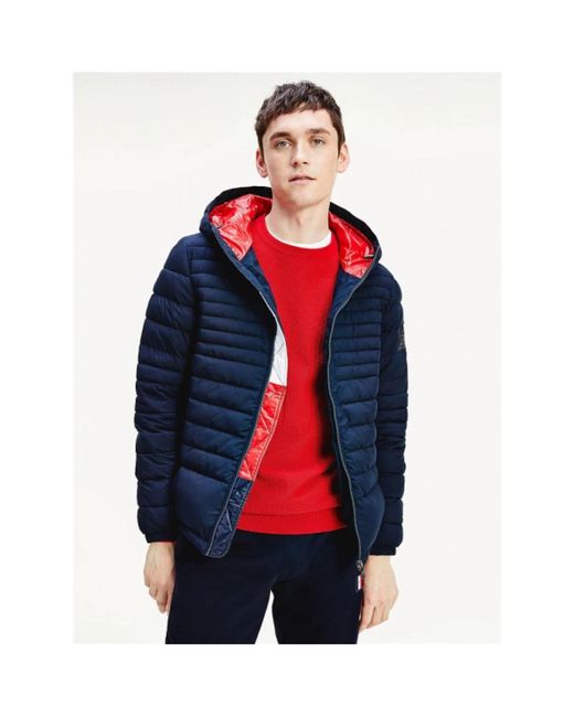 Tommy Hilfiger Jackets > Down Jackets in het Blue voor heren