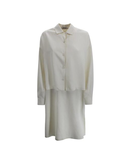 Alberta Ferretti Gray Shirt Dresses