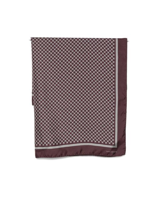 Tagliatore Purple Silky Scarves for men
