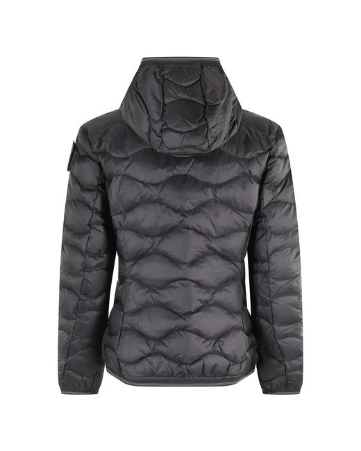 Blauer Gray Winter Jackets