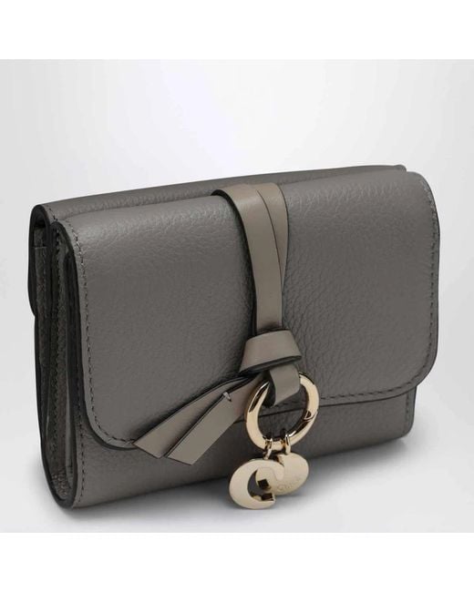 Wallets & Cardholders Chloé de color Gray