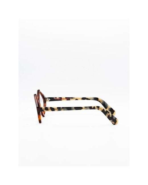 Moli Limo Brown Glasses