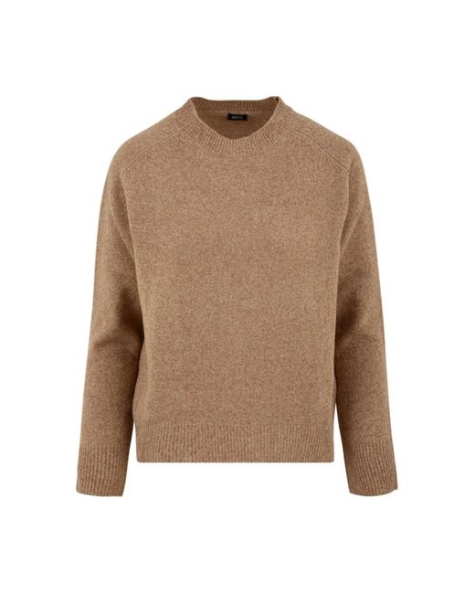 Round-Neck Knitwear di Aspesi in Brown