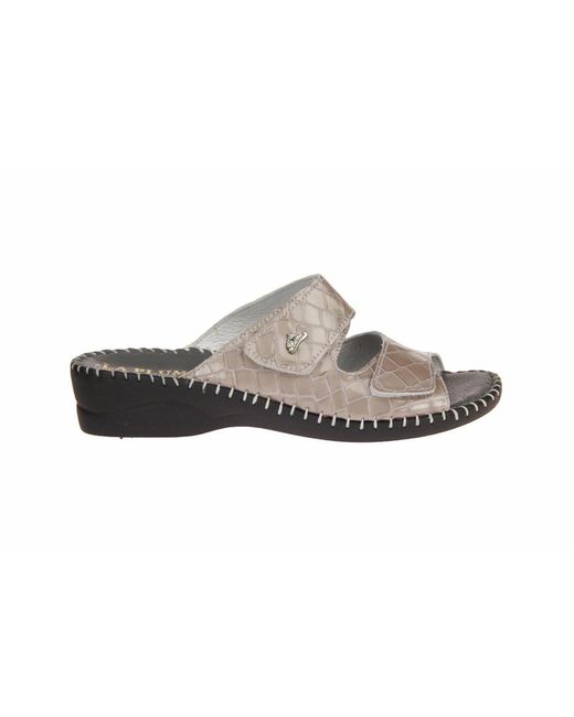 La Plume Comfortschoenen - - Dames in het Grijs - Lyst