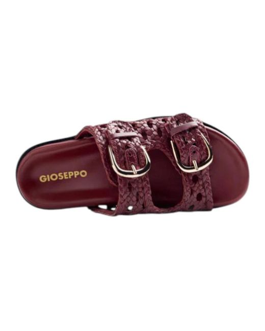 Gioseppo Ogunquitibordo in het Red
