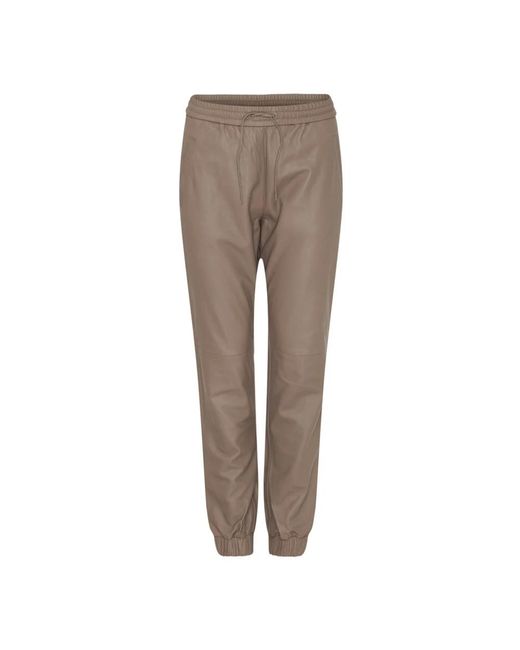 Notyz Brown Sweatpants