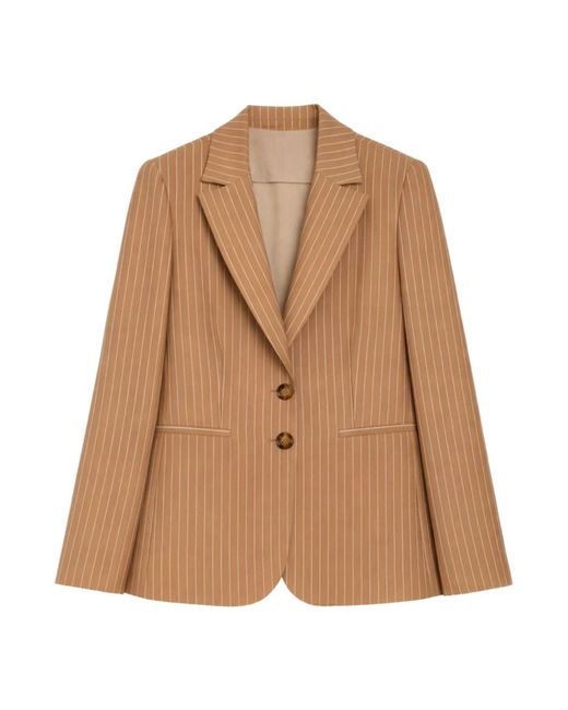 Blazers iBlues de color Brown