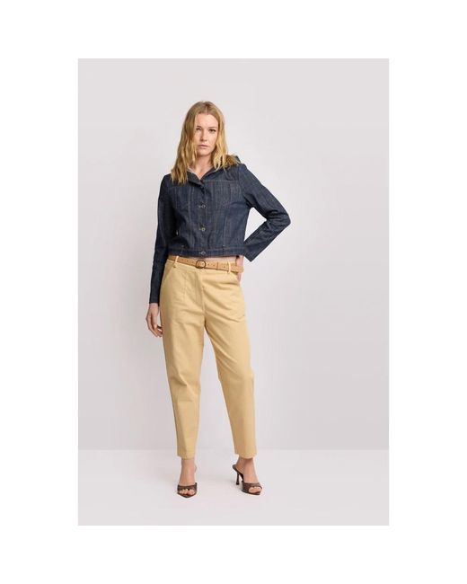 Kocca Broeken ,Katoen Cotton Chino Broeken in het Blue