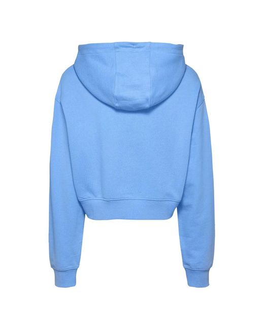 Hoodies di Tommy Hilfiger in Blue