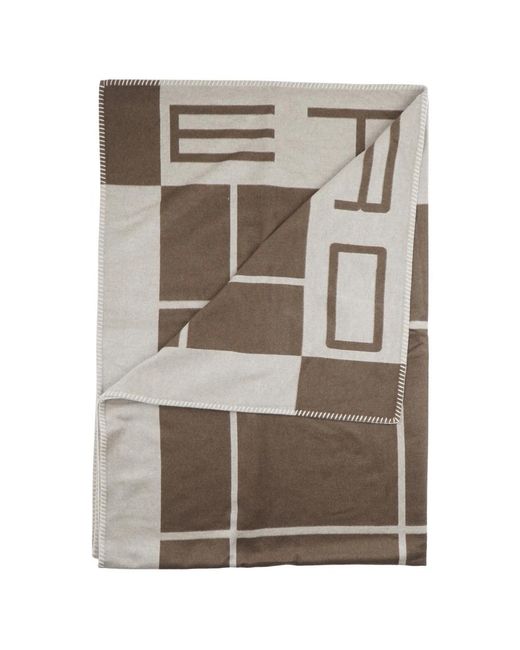 Etro Gray Winter Scarves