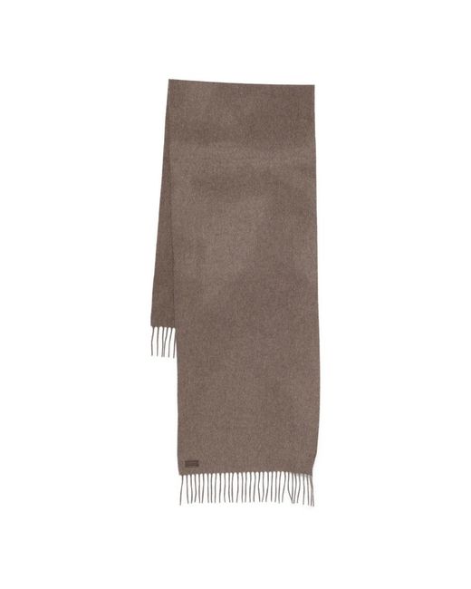 Canali Brown Winter Scarves for men