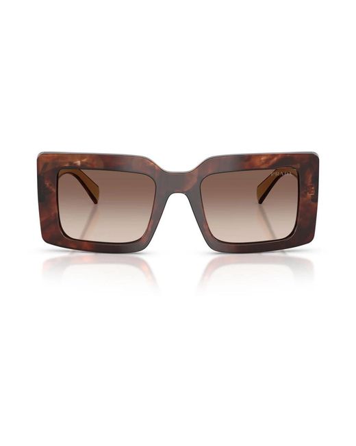Prada Brown Sunglasses