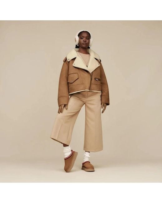 Ugg Brown Slippers