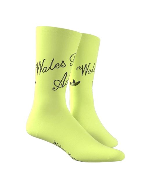 Underwear > socks Adidas pour homme en coloris Green