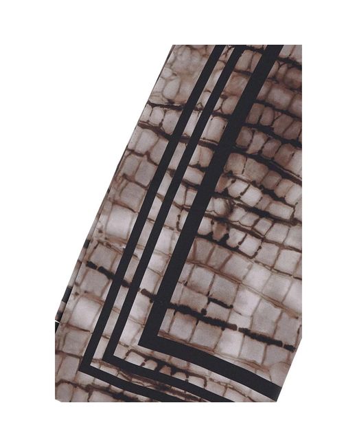 Elisabetta Franchi Brown Silky Scarves