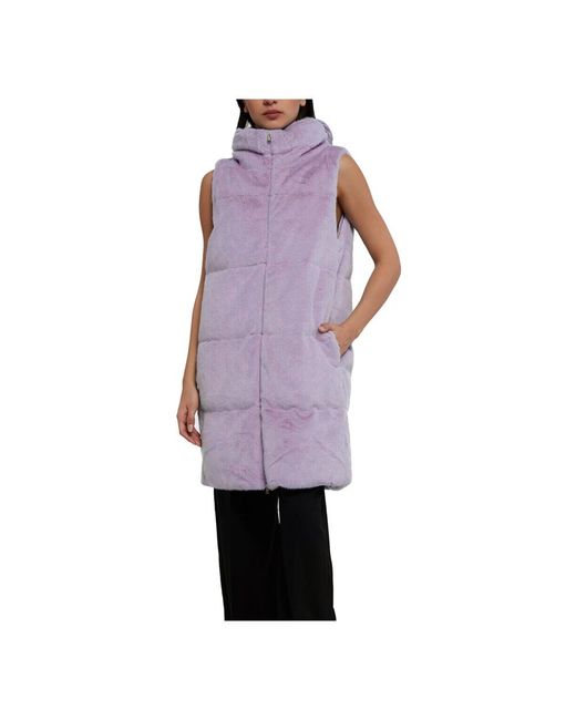 Herno Purple Vests