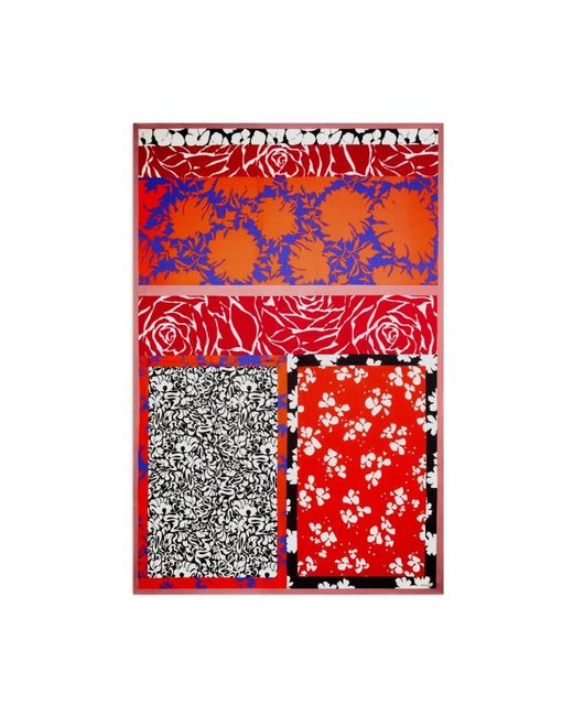 Dries Van Noten Flora Schal in Red für Herren
