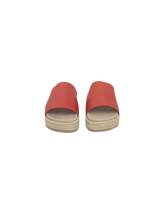 Cerruti 1881 Pink Sliders