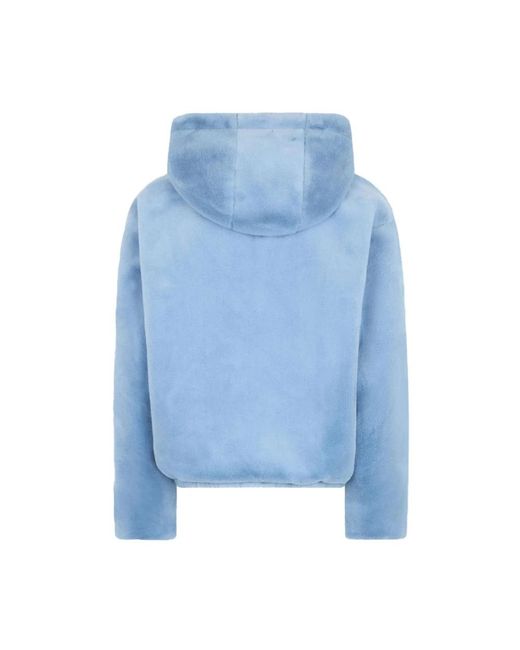 Moose Knuckles Winter Jackets in het Blue