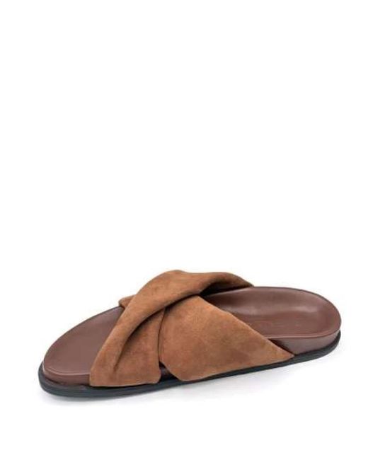Elena Iachi Brown Sliders