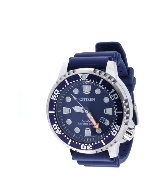 Citizen Blue Watches