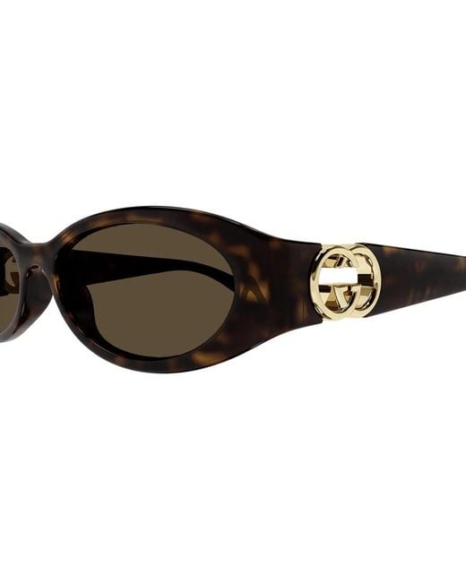 Gucci Brown Gg1660s 002 sunglasses,gg1660s 005 sunglasses,gg1660s 001 sunglasses,gg1660s 003 sunglasses