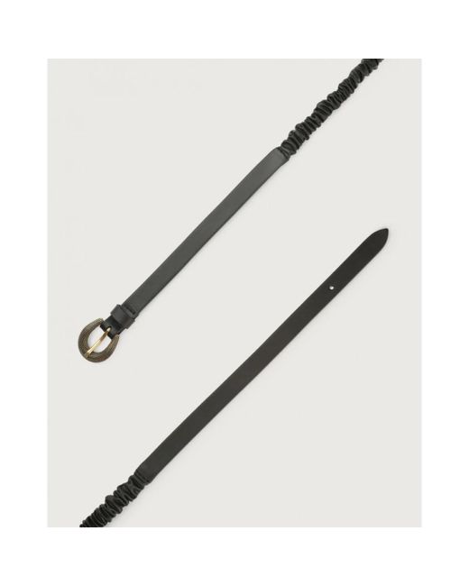 Belts di Orciani in Black