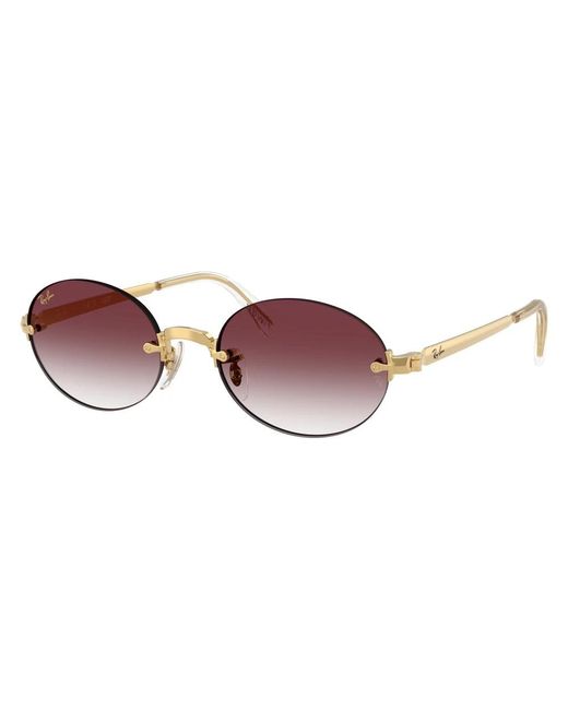 Ray-Ban Brown Sunglasses