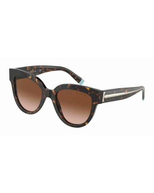 Sunglasses tf 4186 di Tiffany & Co in Brown