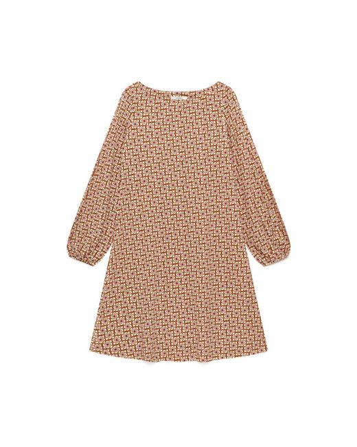 Maliparmi Brown Short Dresses