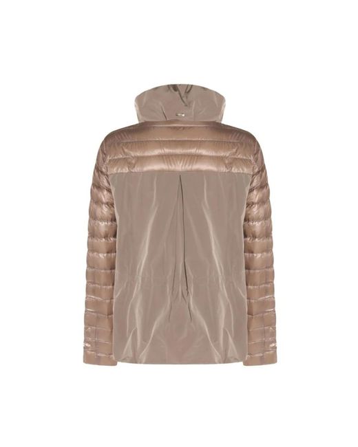 Winter Jackets Herno en coloris Brown